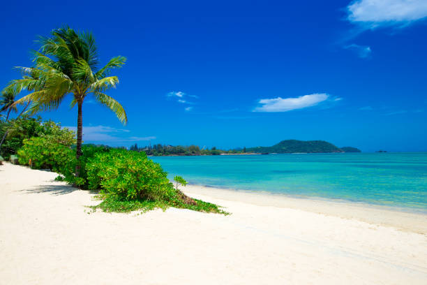 istock beach and tropical sea 668533336