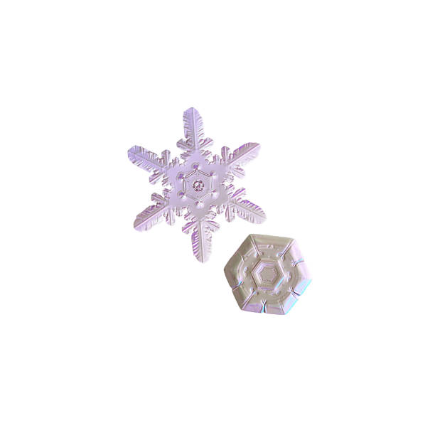 istock Two real snowflakes isolated on white background 668544618
