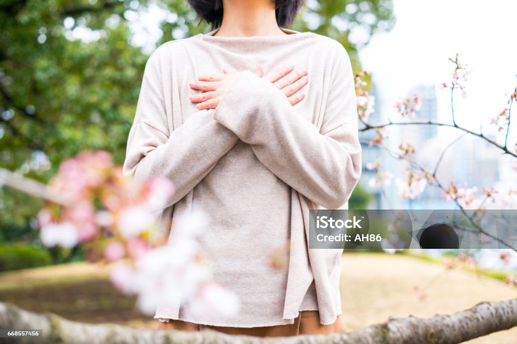 Woman and cherry blossom Woman and cherry blossom. Holding Breath Stock Photo