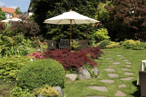 istock Japanese garden 668561172