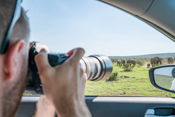 istock Tourist photographing elephant on safari 668561874