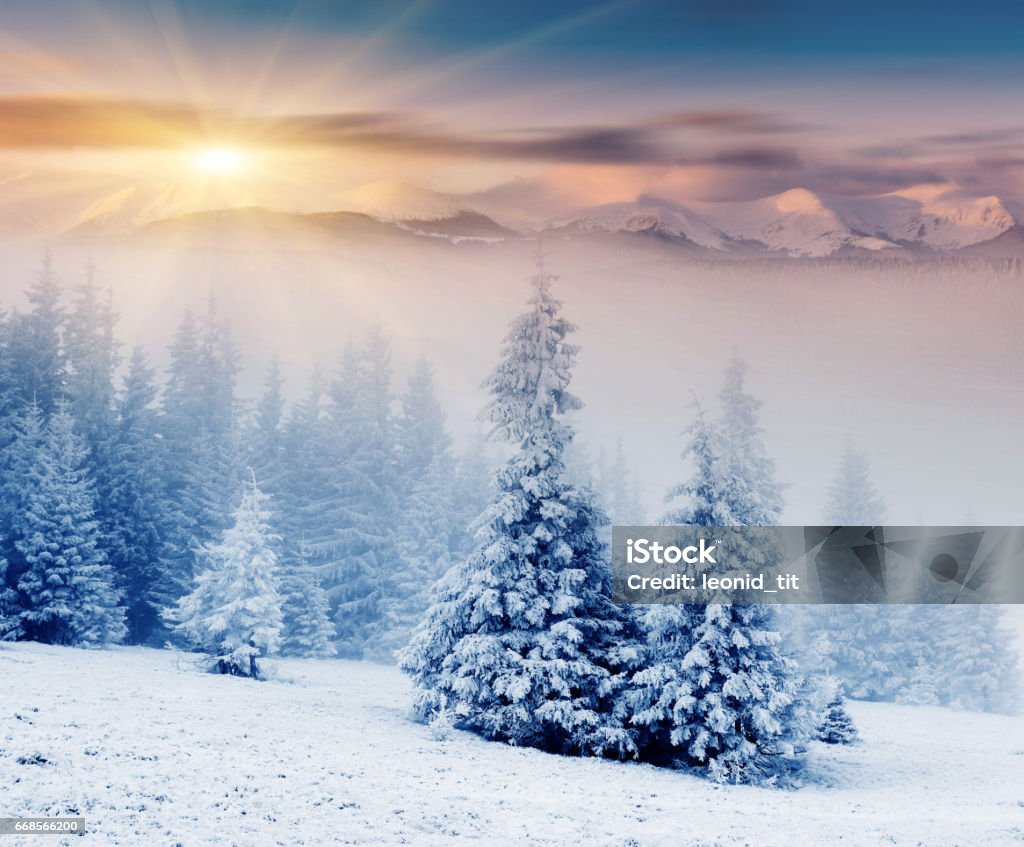 Location place Carpathian mountains, Ukraine, Europe. Explore the world's beauty. Majestic sunset in the winter mountains landscape. Dramatic sky. Beauty Stock Photo