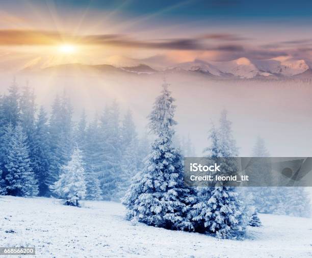 Location Place Carpathian Mountains Ukraine Europe Explore The Worlds Beauty Stock Photo - Download Image Now