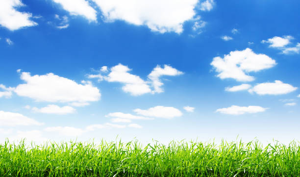 istock spring green field and beautiful blue sky 668568406