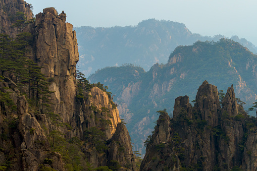 Landscape of Huangshan (Yellow Mountains). Huangshan Pine trees. Located in Anhui province in eastern China. It is a UNESCO World Heritage Site, and one of China's major tourist destinations.