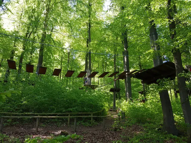 Climbing Park; Hesse; Buchwald; National Park; Kellerwald-Edersee