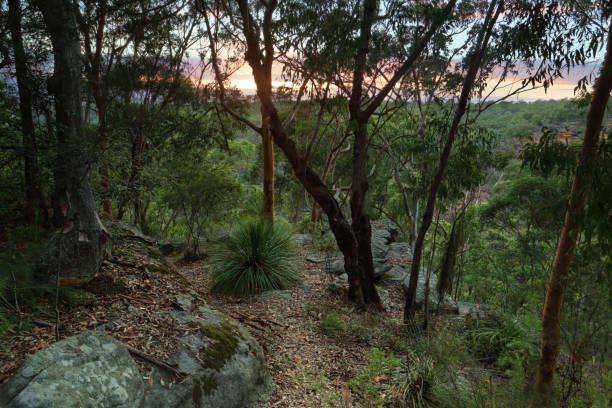 istock Sunrise Glenbrook , Blue Mountains Australia 668583356