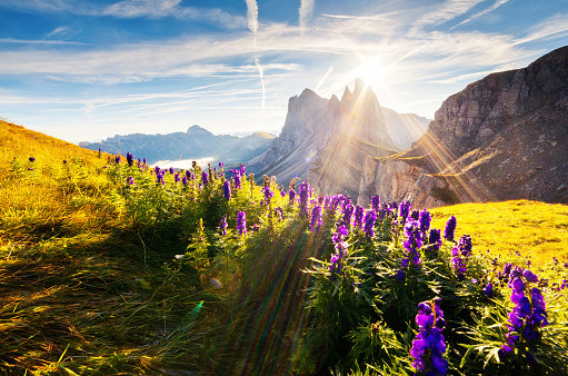 Great view on the  Odle - Geisler group. National Park valley Val Gardena. Dolomites, South Tyrol. Location Ortisei, S. Cristina and Selva Gardena, Italy, Europe. Dramatic morning scene. Beauty world.