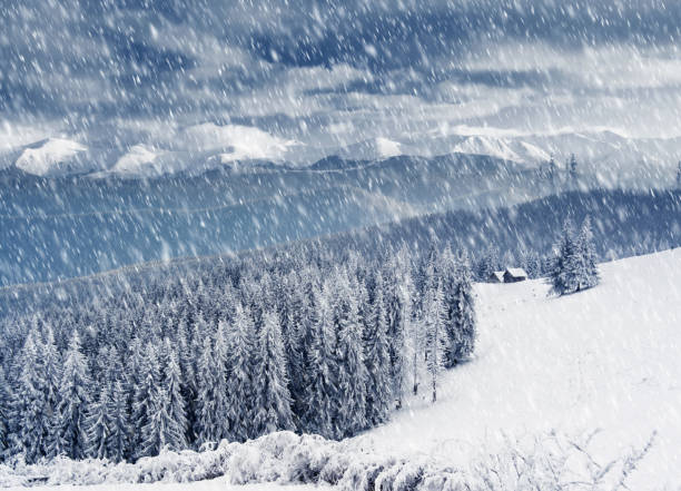 istock Trees covered with hoarfrost and snow in mountains. 668589000
