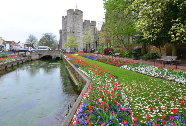English stone tower Westgate, which is the Medieval gate house area in Canterbury which is part of the city wall, the largest surviving in England. canterbury england stock pictures, royalty-free photos & images