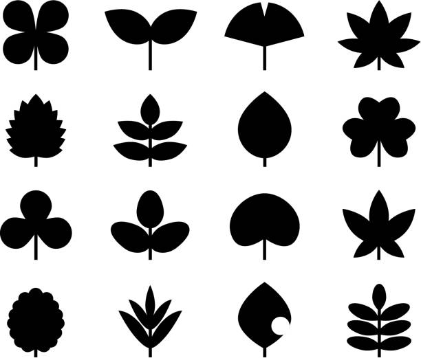 Icon of leaves Icon of leaves マーケティング stock illustrations
