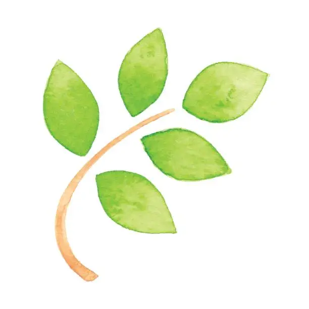 Vector illustration of Watercolor Green Branch icon