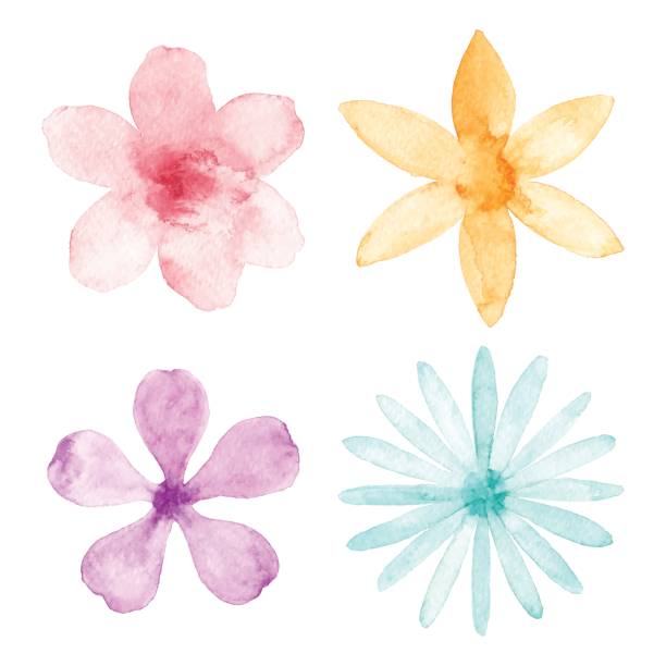 aquarell blumen - summer flower head beautiful nature stock-grafiken, -clipart, -cartoons und -symbole