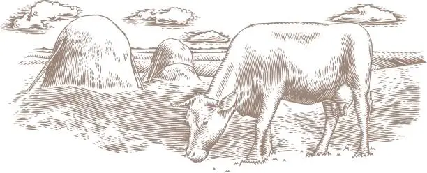 Vector illustration of Cow on the meadow