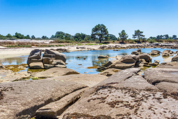 istock Coastal rocks on Gradin beach 668606820