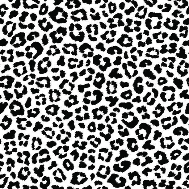 ilustrações, clipart, desenhos animados e ícones de preto e branco padrão sem emenda de leopardo, imitação de pele - safari animals undomesticated cat feline mammal