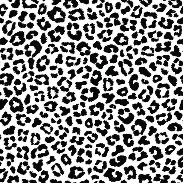 Vector illustration of Black and white leopard seamless pattern, fur imitation