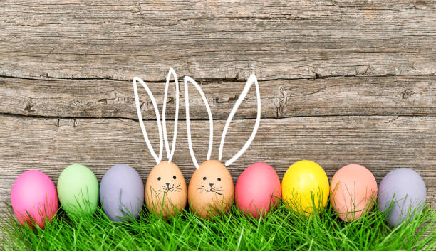 Easter eggs cute bunny Funny decoration Happy Easter stock photo