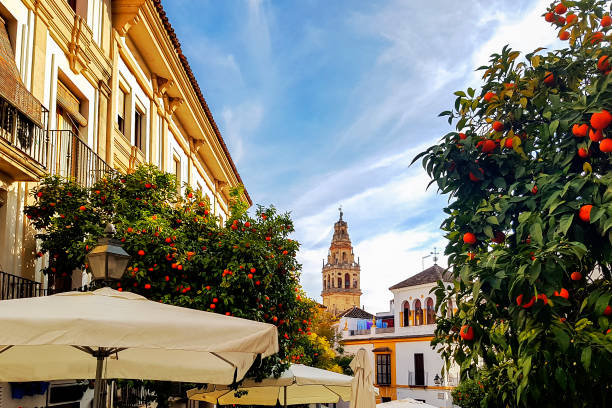Sevilla - old town and cathedral tower - Giralda