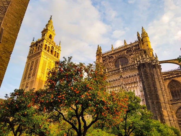 Giralda and orange tree courtyard, It's the name given to the bell tower of the Cathedral of Santa Maria de la Sede of the city of Seville, in Andalusia, Spain.