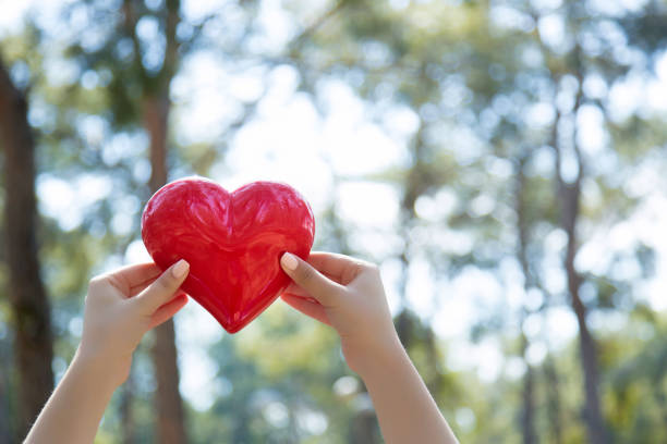 istock Woman hands holding red heart 668644562
