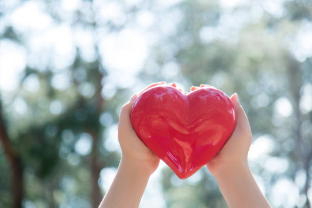 istock Woman hands holding red heart 668644600
