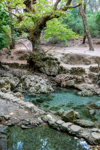 Bellissima valle delle sette sorgenti "Epta Piges" sull'isola di Rodi, Nel Dodecaneso, Grecia - foto stock
