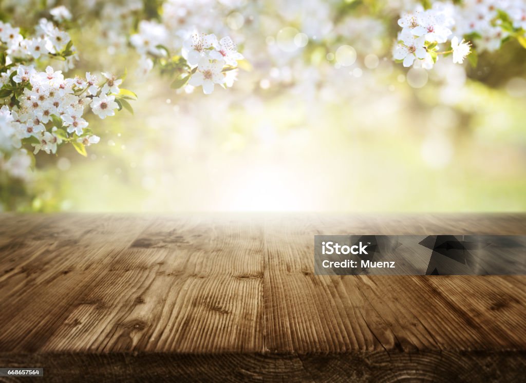 Rustic wooden table Spring background with cherry blossoms and sun in front of an empty wooden table for a concept Checkout Stock Photo