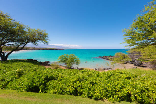 istock Hapuna Beach on the Big Island of Hawaii 668657624
