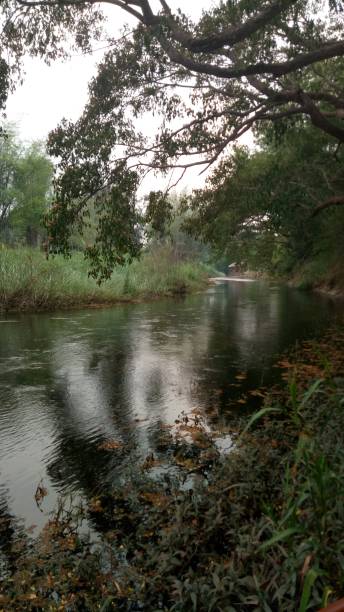 istock Scenery of natural streams 668657816