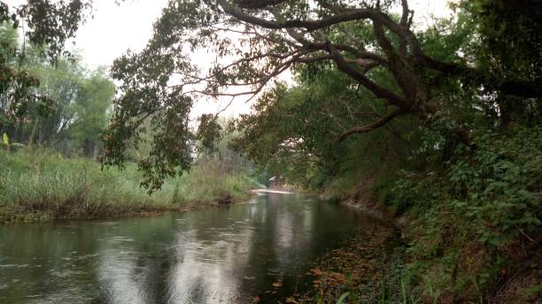 istock Scenery of natural streams 668658130