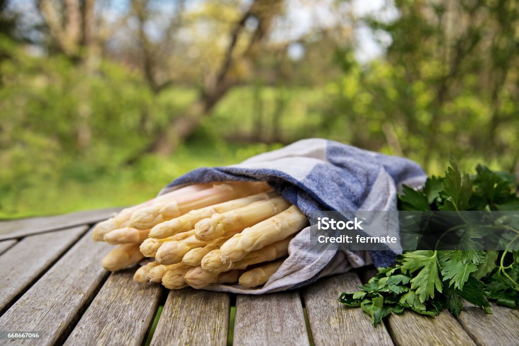 White asparagus on a  wooden table outdoors in the garden White asparagus sticks and herbs freshly harvested on a wooden table outdoors in the garden, selective focus, narrow depth of field Asparagus Stock Photo