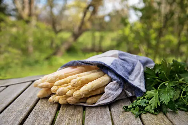 White asparagus sticks and herbs freshly harvested on a wooden table outdoors in the garden, selective focus, narrow depth of field
