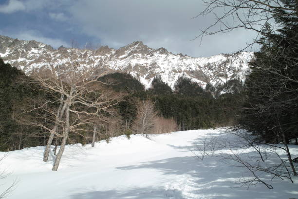 snow-covered mountains snow-covered mountains 雪 stock pictures, royalty-free photos & images