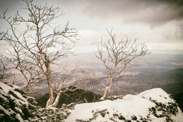 snow-covered mountains snow-covered mountains 雪 stock pictures, royalty-free photos & images