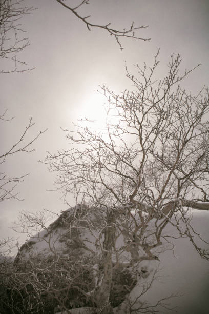 snow-covered mountains snow-covered mountains 雪 stock pictures, royalty-free photos & images