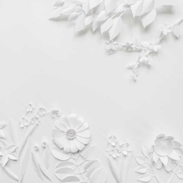 istock white paper flowers wallpaper, spring summer background, floral design elements 668704874