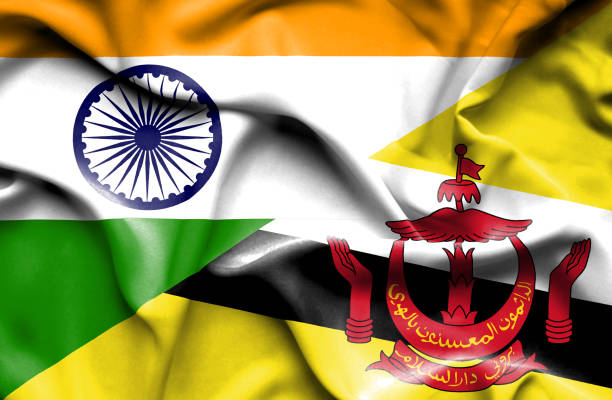 mengibarkan bendera brunei dan india - brunei money ilustrasi stok