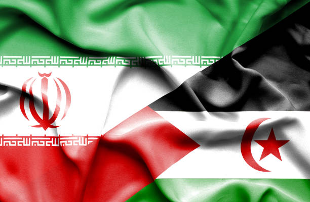istock Waving flag of Western Sahara and Iran 668741344