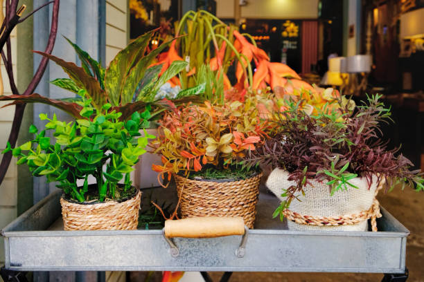istock Artificial flowers on a Thai street 668741618