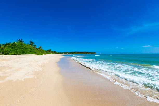 istock tropical beach in Sri Lanka 668754868