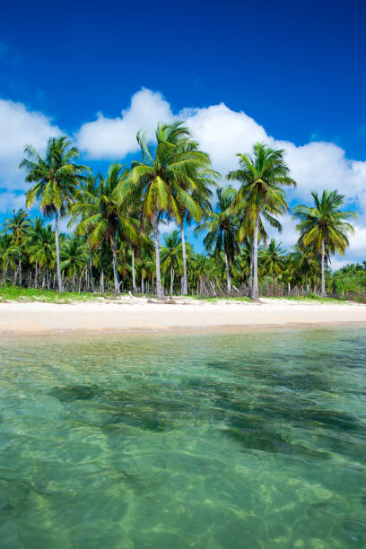 istock tropical beach in Sri Lanka 668761368