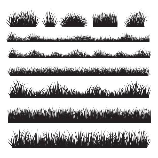 grass silhouette grenzen setzen auf hintergrund - hayfield stock-grafiken, -clipart, -cartoons und -symbole