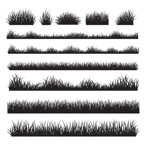 ilustrações de stock, clip art, desenhos animados e ícones de grass silhouette borders set on background - hayfield