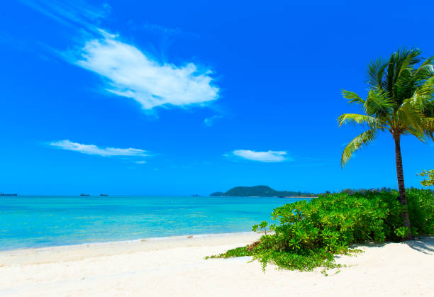 istock beach and tropical sea 668767194
