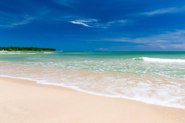 istock tropical beach in Sri Lanka 668770902