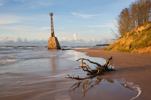 A fallen washed up tree and an old lighthouse on the shore of Vidzeme rocky beach near Kurmjrags