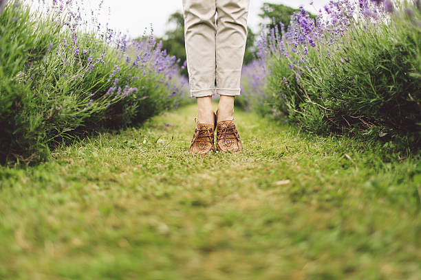 istock Low Section Of Woman Standing On Lavender Field 668798727
