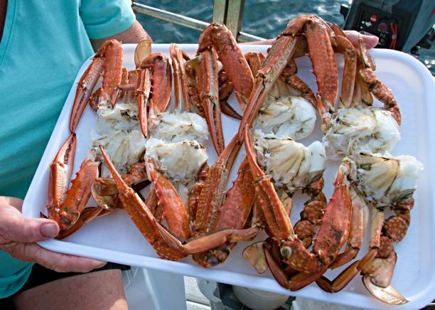 istock Fresh Cooked Seafood. Blue Swimmer Crabs 668798844