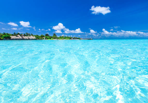 istock tropical beach in Maldives 668799726